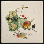 Gooseberries and Currants, 2009