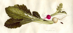 Works by Beverly Duncan