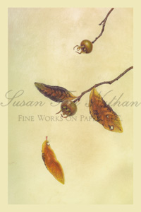 Works by Carol Woodin