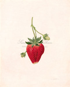 Works by Catherine Watters