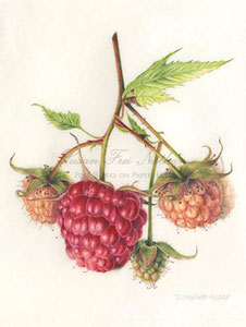 Works by Denise Walser-Kolar