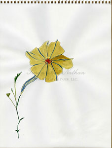 Works by Elizabeth Enders