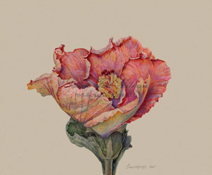 Works by Jean Emmons