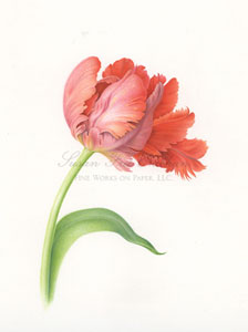 Works by Karen Kluglein