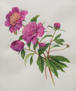 Works by Karen Kluglein