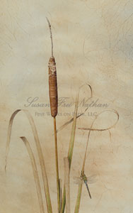 Works by Kelly Leahy Radding