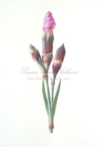 Works by Martin Allen