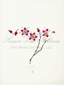 Works by Regine Hagedorn