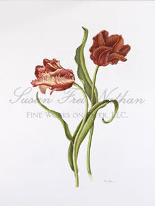 Works by Rose Pellicano