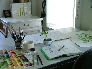 Beverly Duncan's studio.