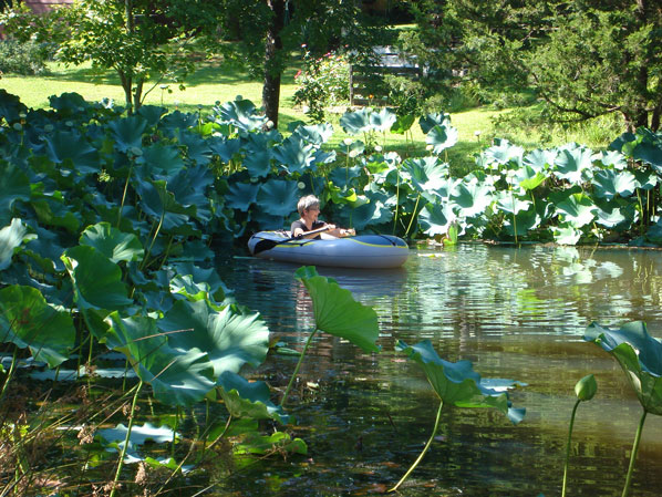 Photo of Kate Nessler gathering specimens.