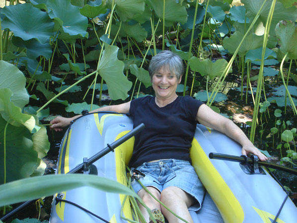 Photo of Kate Nessler collecting lotus seed heads to dry.