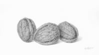 Three Walnuts, 2010