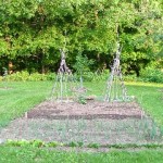 Beverly Duncan's Garden #1