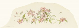 Pink Roses, 2012 Watercolor on Kelmscott vellum 18.5 x 36 inches framed $7500