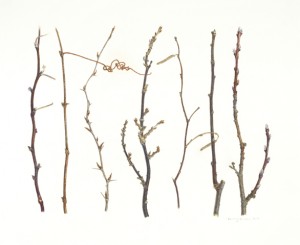 Branches 02, 2013