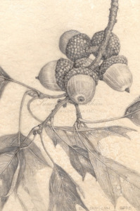 Works by Beverly Duncan