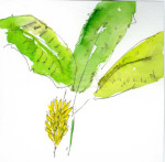 Banana Tree, 2022