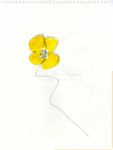 Yellow Poppy I, 2023